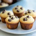 Chocolate Chip Muffins