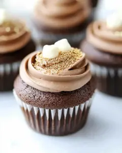 Chocolate Cupcakes