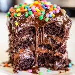 Chocolate Hot Fudge Mini Layer Cake