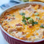 Hot Chicken Enchilada Dip