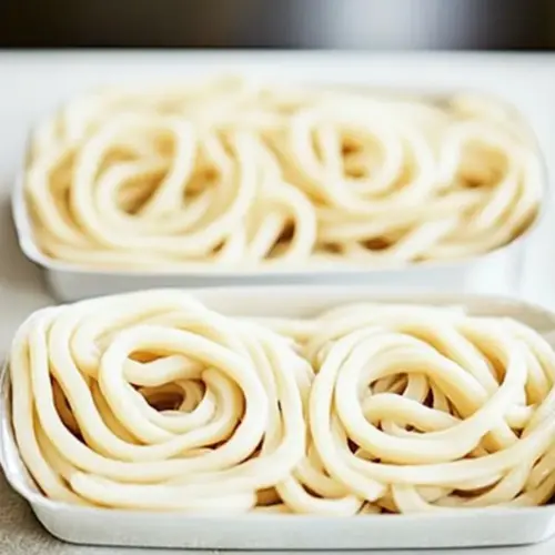 Udon Noodles