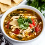 Instant Pot Chicken Tortilla Soup