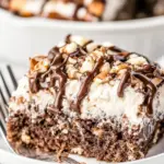 Mississippi Mud Cake