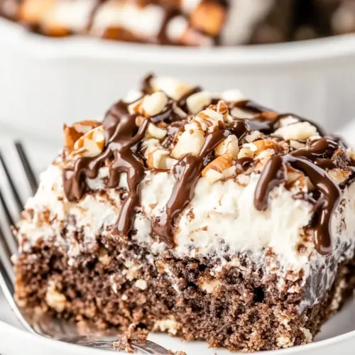 Mississippi Mud Cake
