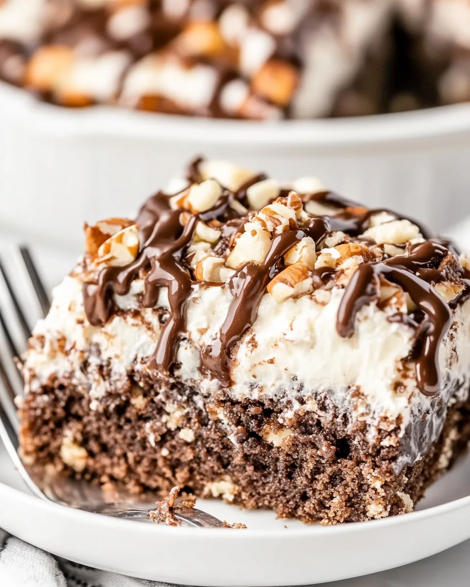 Mississippi Mud Cake