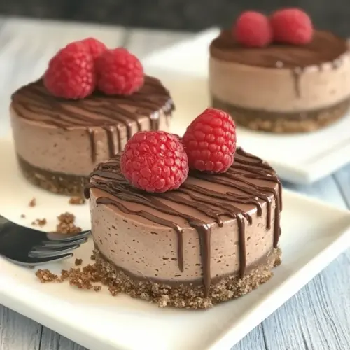 No Bake Mini Nutella Cheesecake