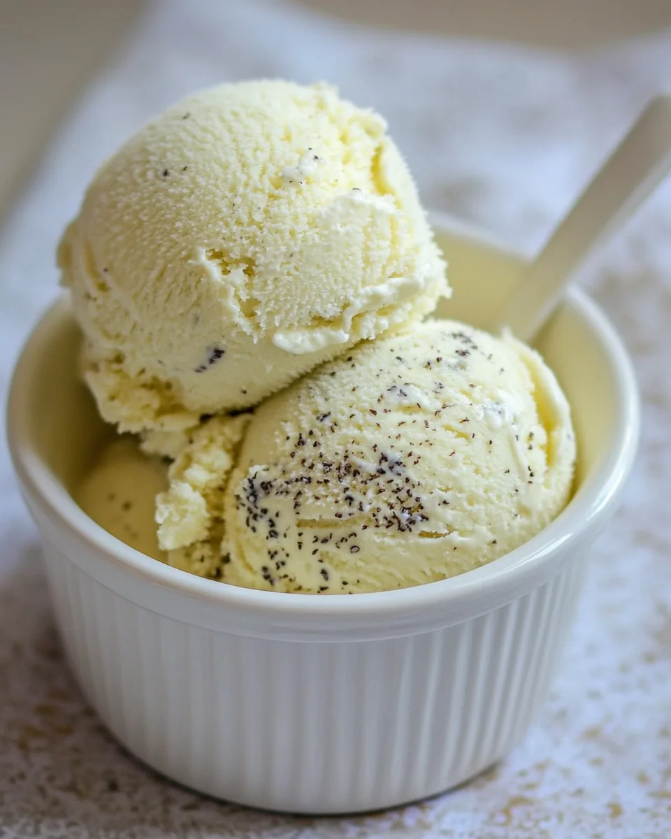 No Churn Vanilla Bean Ice Cream