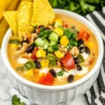 Queso Taco Soup