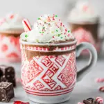 Slow Cooker Peppermint Hot Chocolate