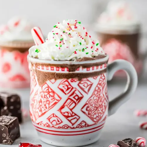 Slow Cooker Peppermint Hot Chocolate